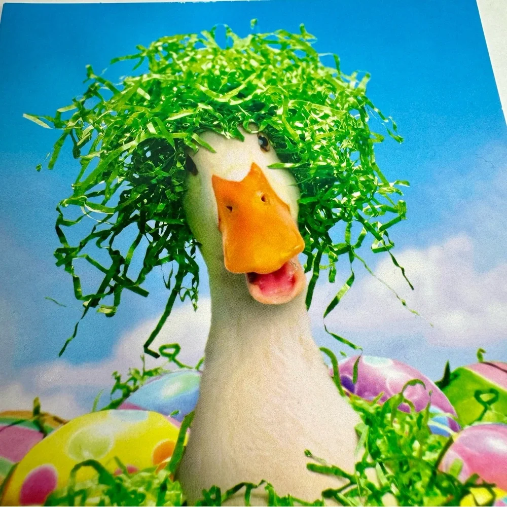 4 Avanti Greeting cards - Duck bird in basket with Easter eggs Holiday: Easter
